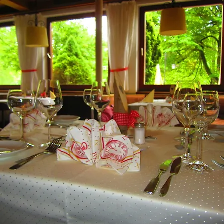 Hotel Ruchti Y Restaurante 3*
